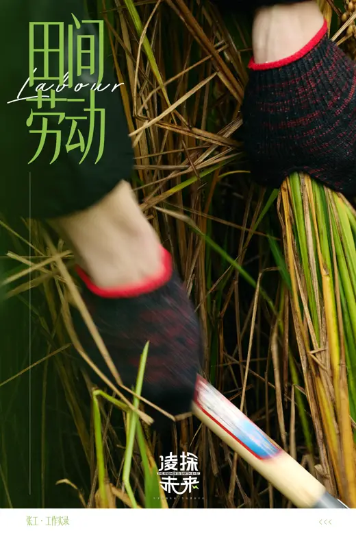 릉탐미래 공식 동작 카드 5