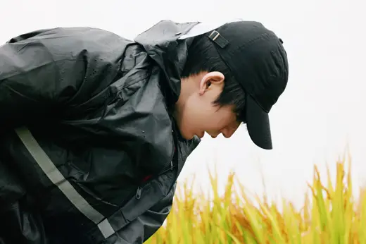 릉탐미래 논과 비닐하우스 농업 현장 스틸 12